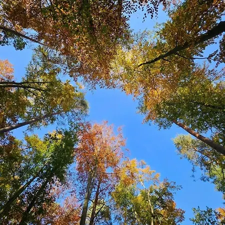 Lejlighed Liebevoll Eingerichtetes