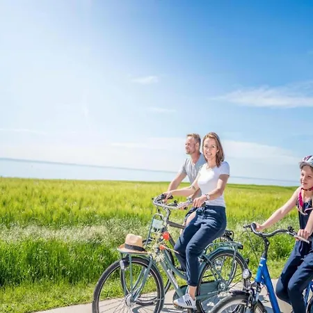 Liebevoll Eingerichtetes Lejlighed